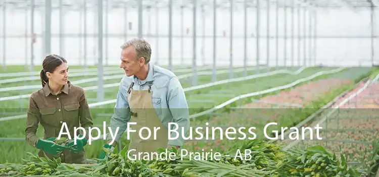 Apply For Business Grant Grande Prairie - AB